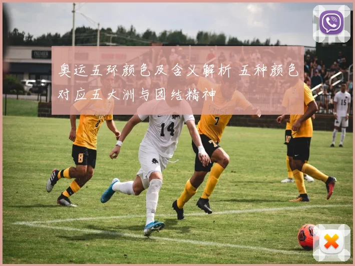 奥运五环颜色及含义解析 五种颜色对应五大洲与团结精神